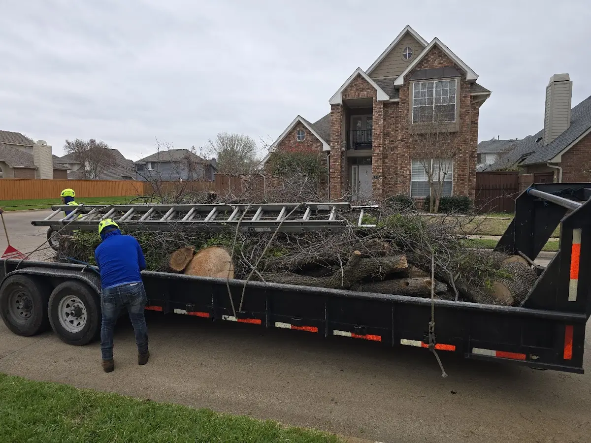 Expert Tree Fertilization with proper safety equipment in Sipesville